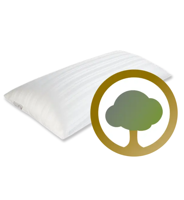 Oreiller en latex 70/40